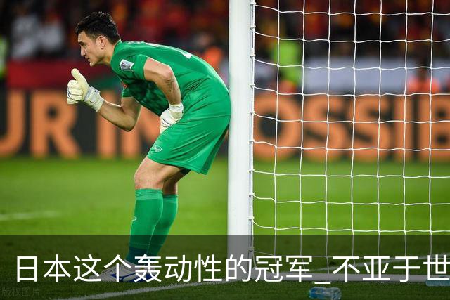 日本这个轰动性的冠军 不亚于世界杯男足奇迹